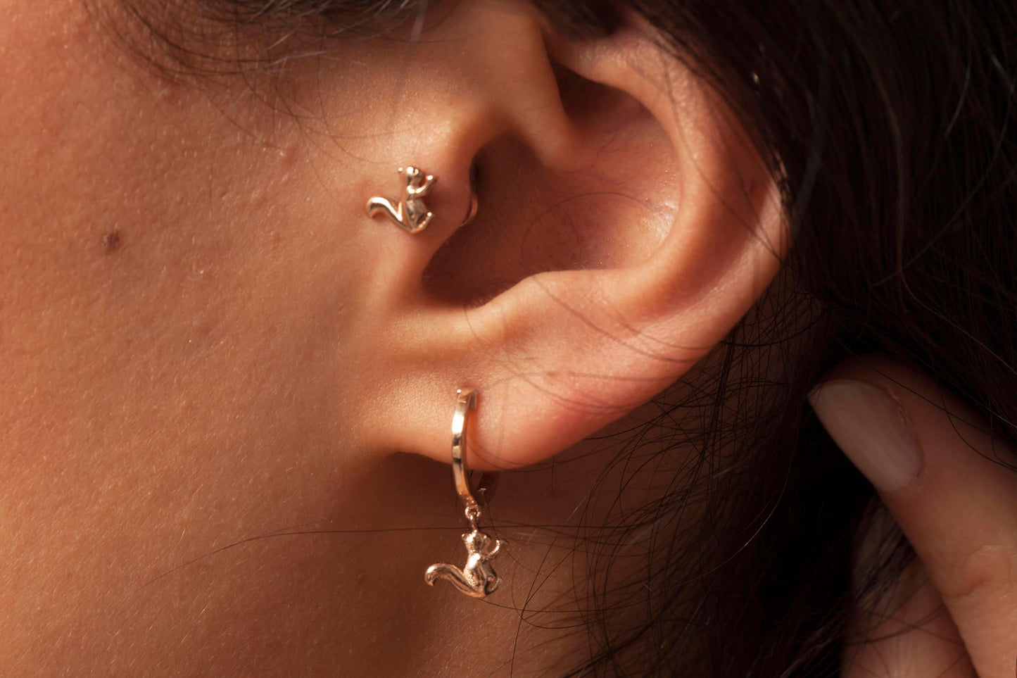 Sincap Tragus