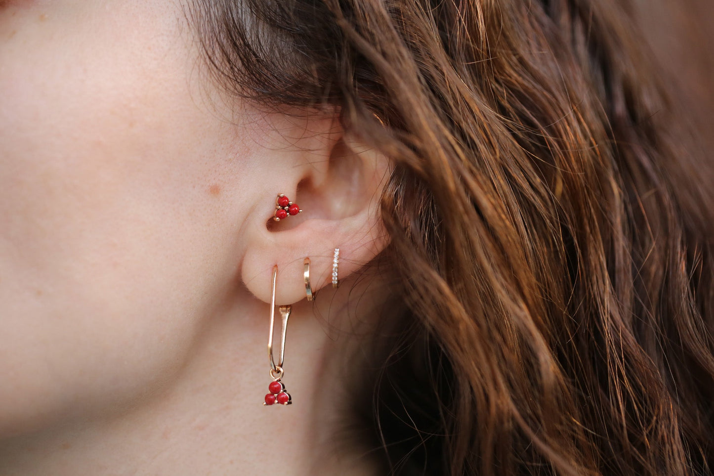 Kokina Tragus