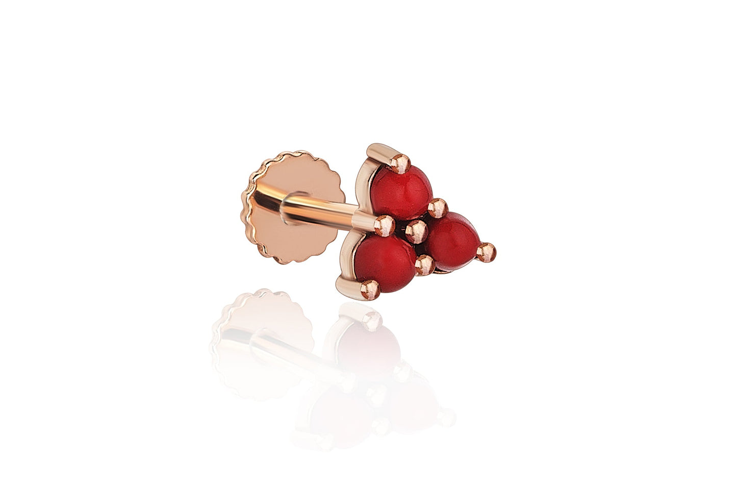 Kokina Tragus