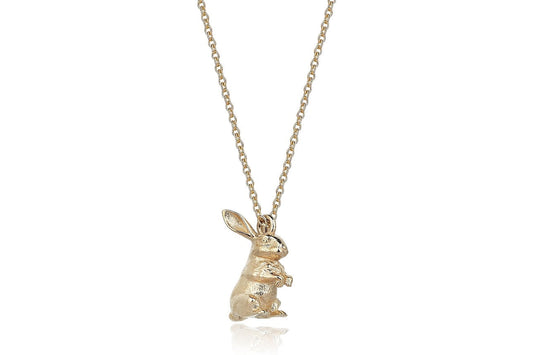 The Bunny