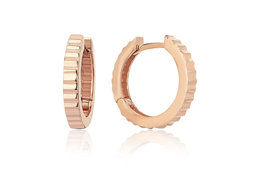 Zigi Zaga Earrings
