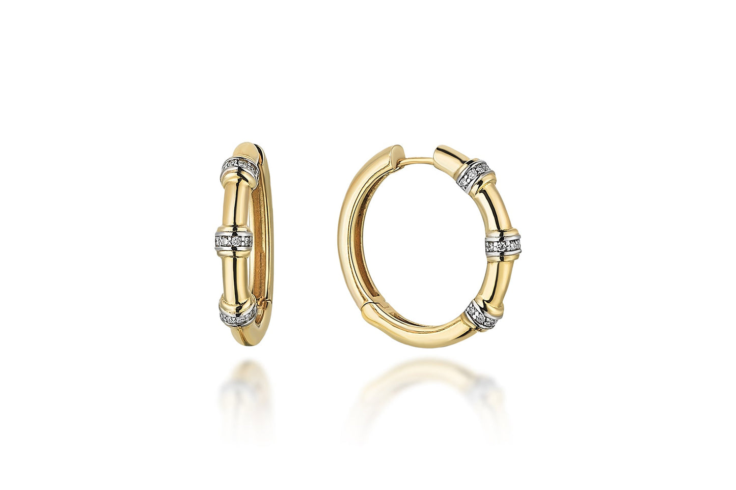 Insula Bone Earrings