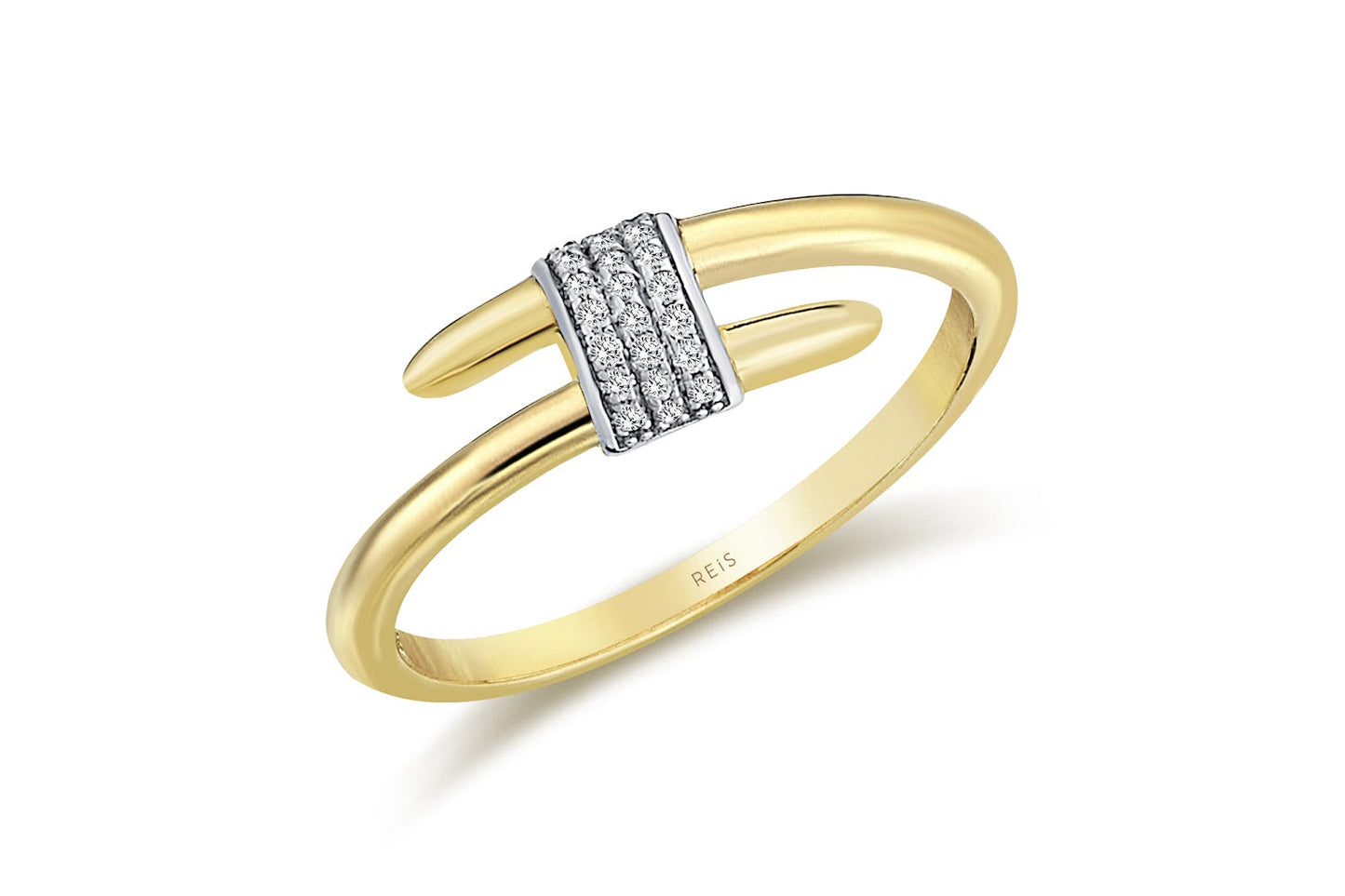 Segmented Ring