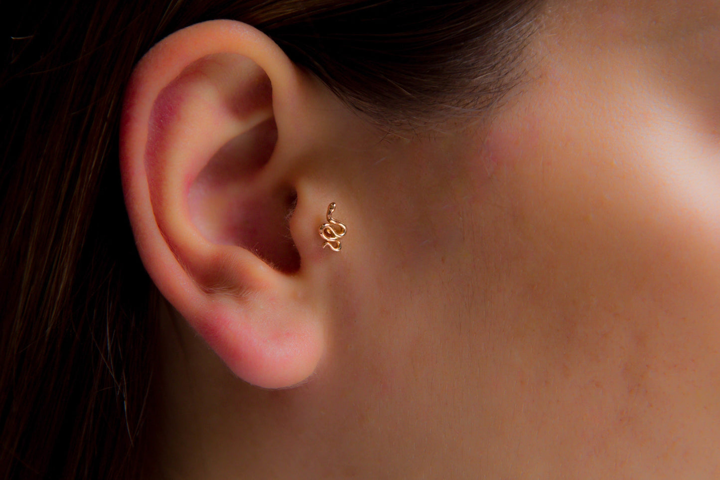 Yılan Tragus