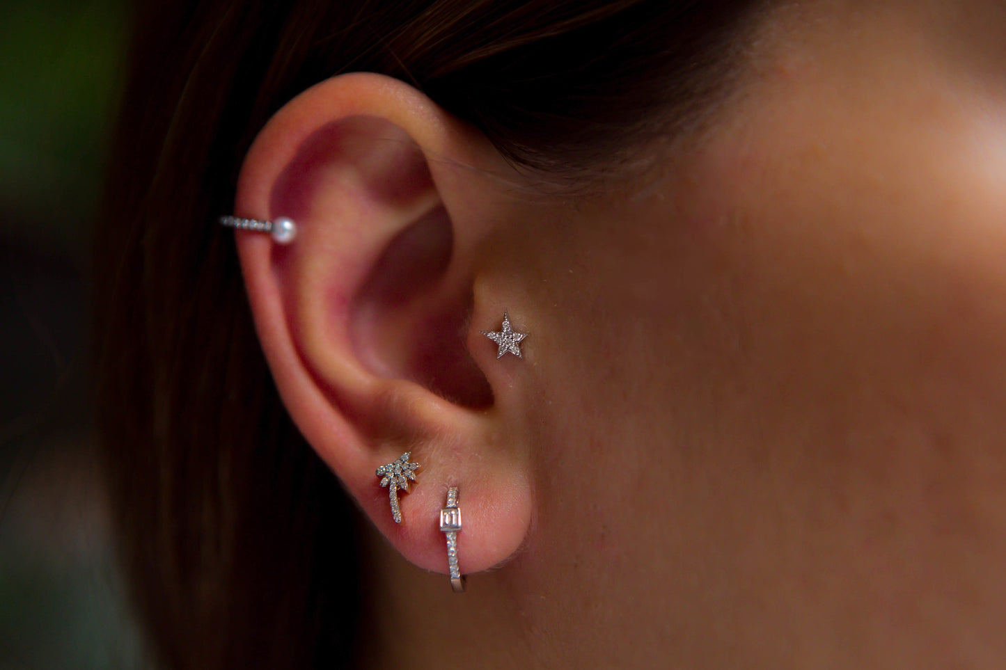Palmiye Tragus