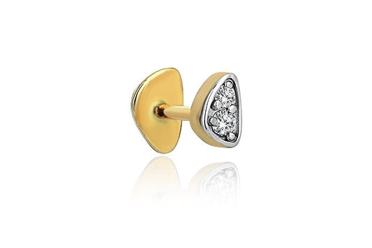 Track Tragus