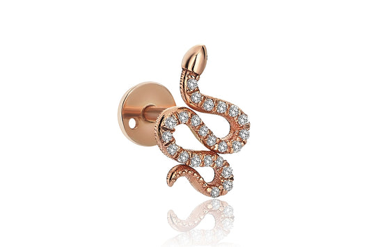 Yılan Pırlanta Tragus