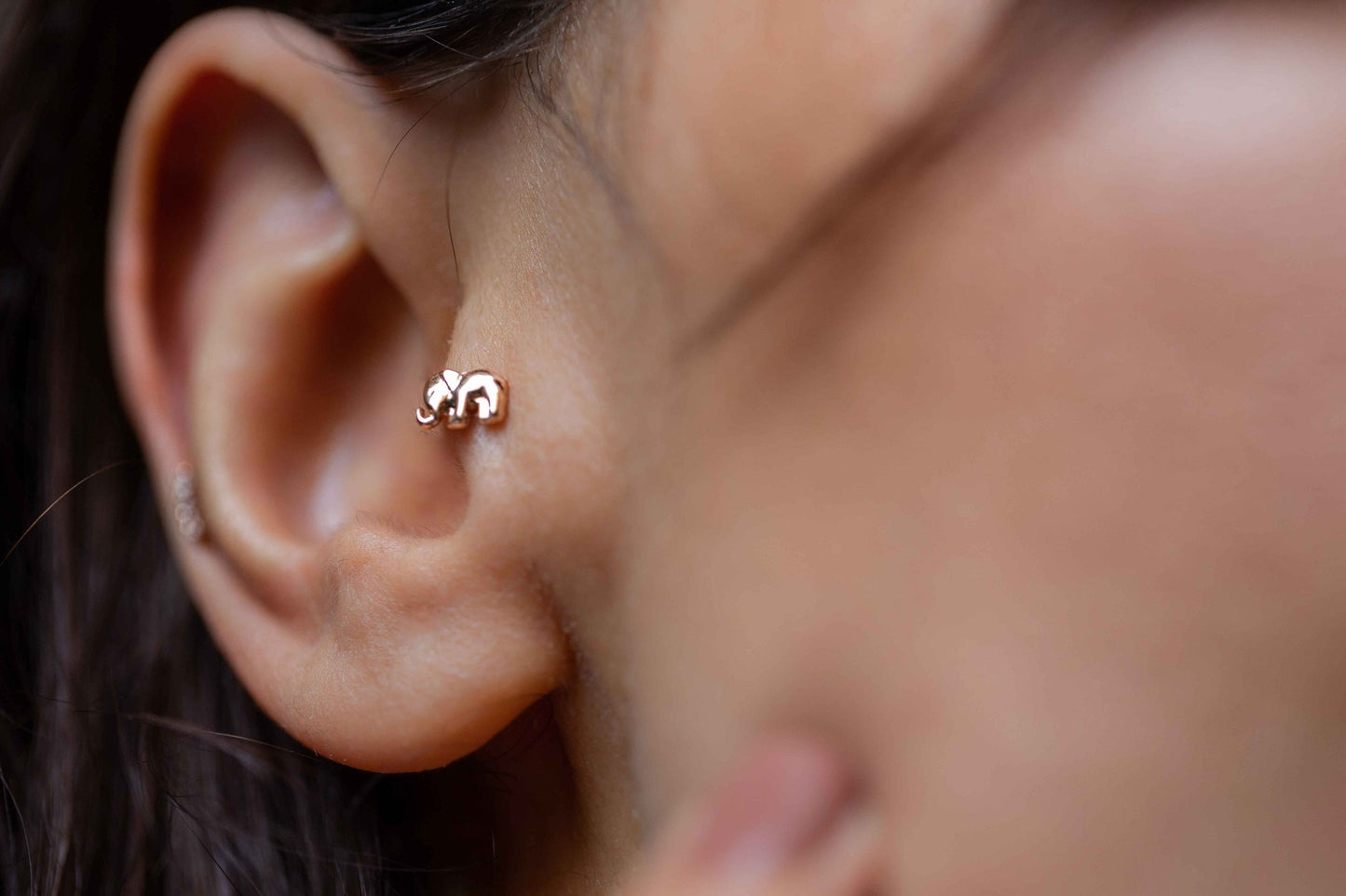Fil Tragus
