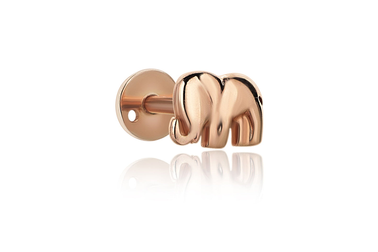 Fil Tragus