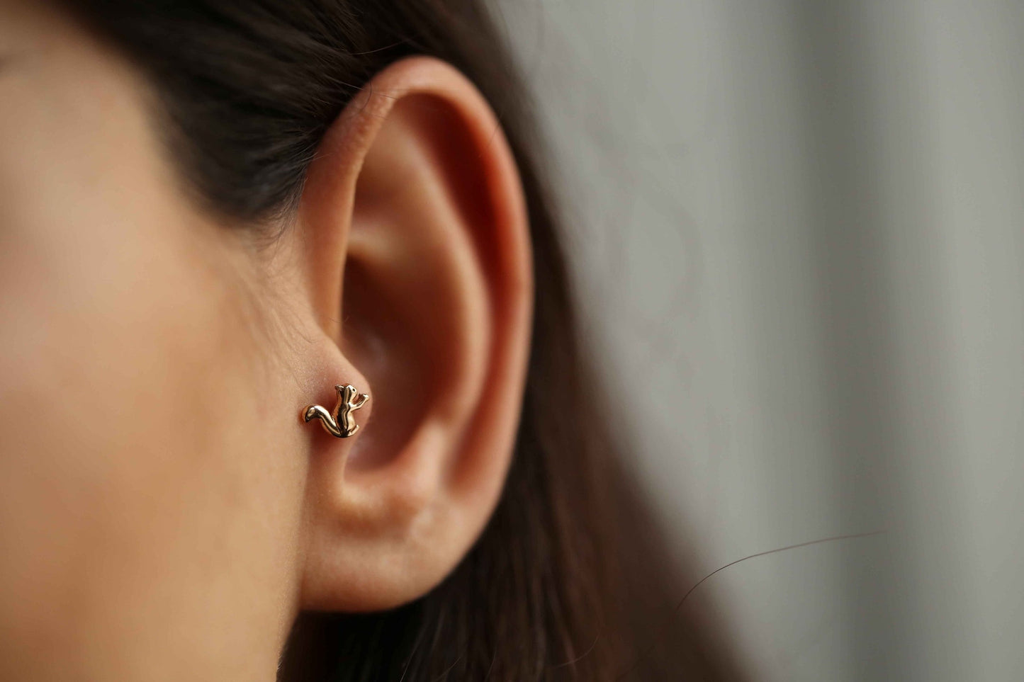 Sincap Tragus