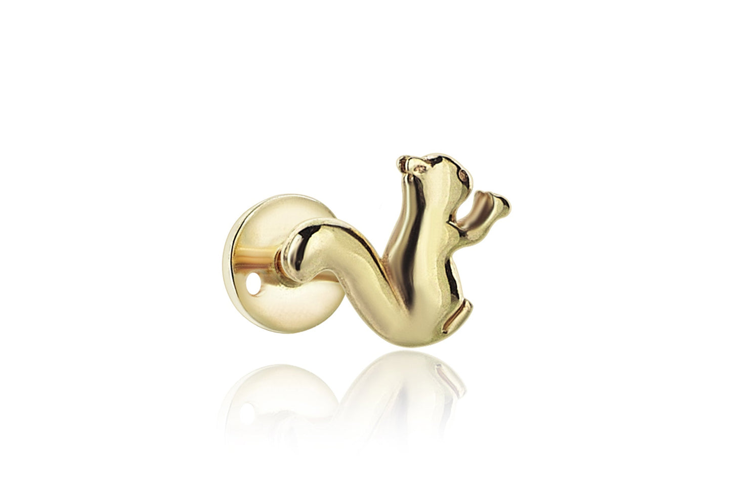 Sincap Tragus
