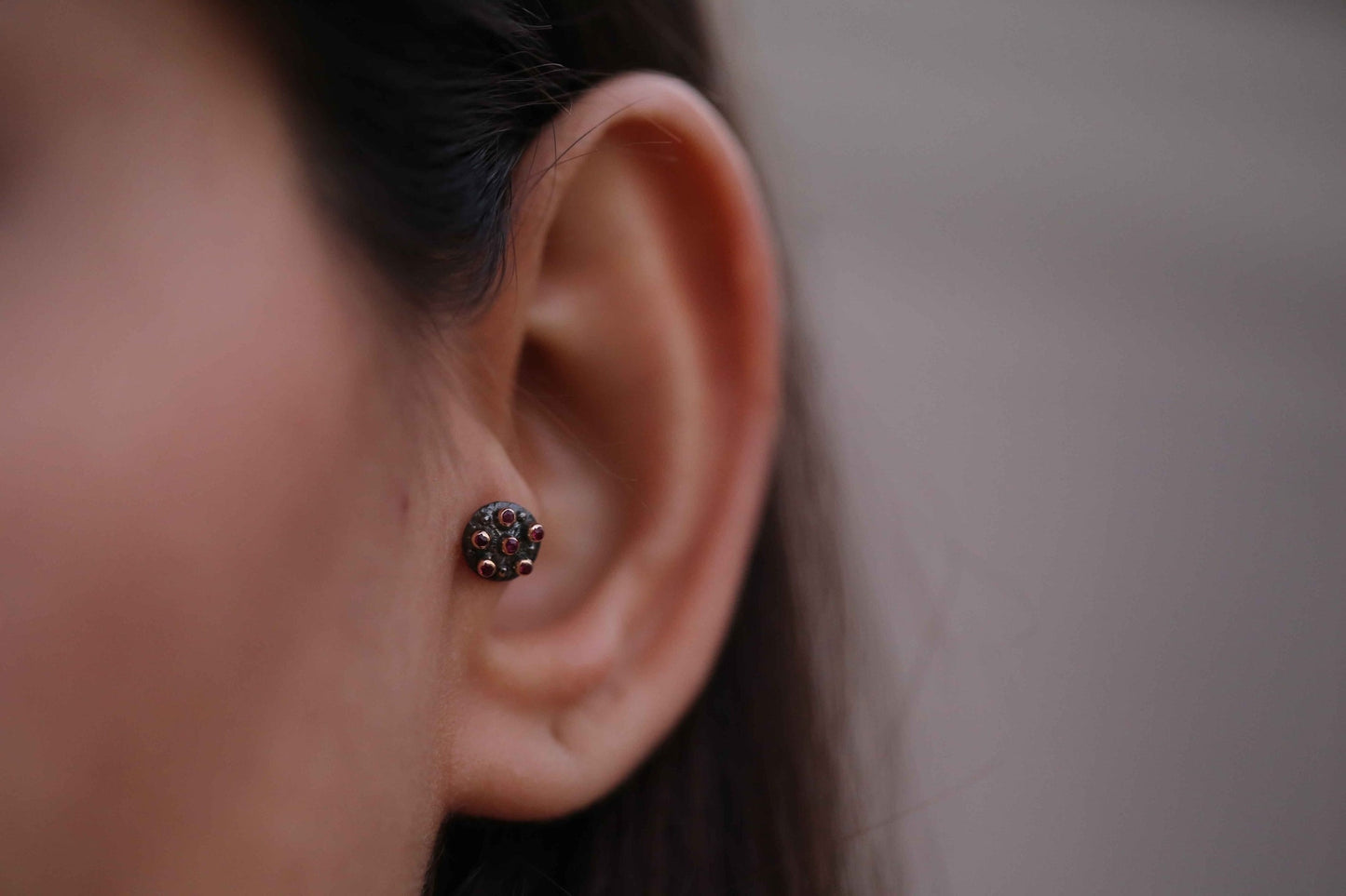 Lup Ruby Tragus