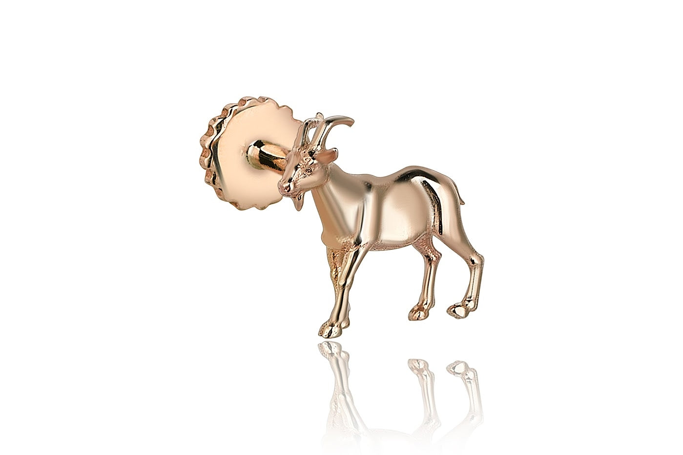 The Goat Tragus